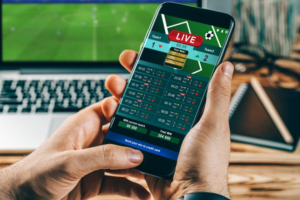 The Importance of Bankroll Management 29 The Importance of Bankroll Management 29