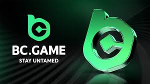 Experience the Thrill at BC.Game Casino USA