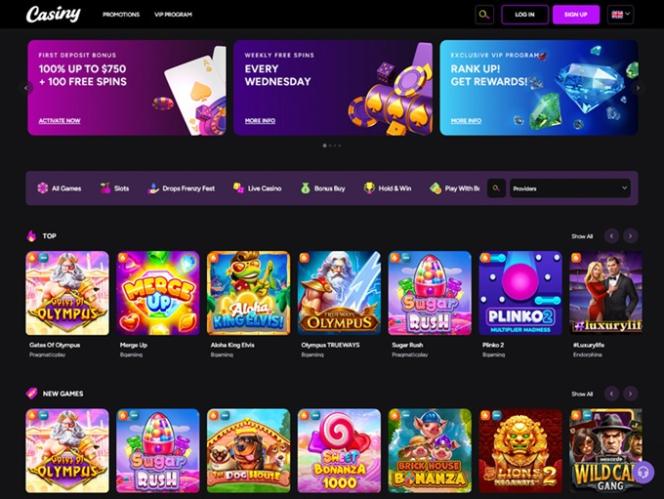 Exploring the Casiny Login Your Gateway to Online Gaming