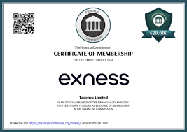 Exploring the Exness Trading Account A Comprehensive Guide